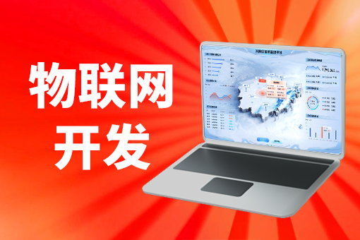 岚山区物联网开发哪家好