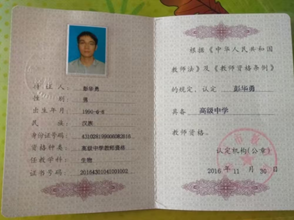 东港区不上学心理咨询机构